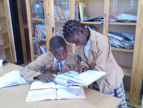 Students studying in the library at St Joseph Integrated Secondary School